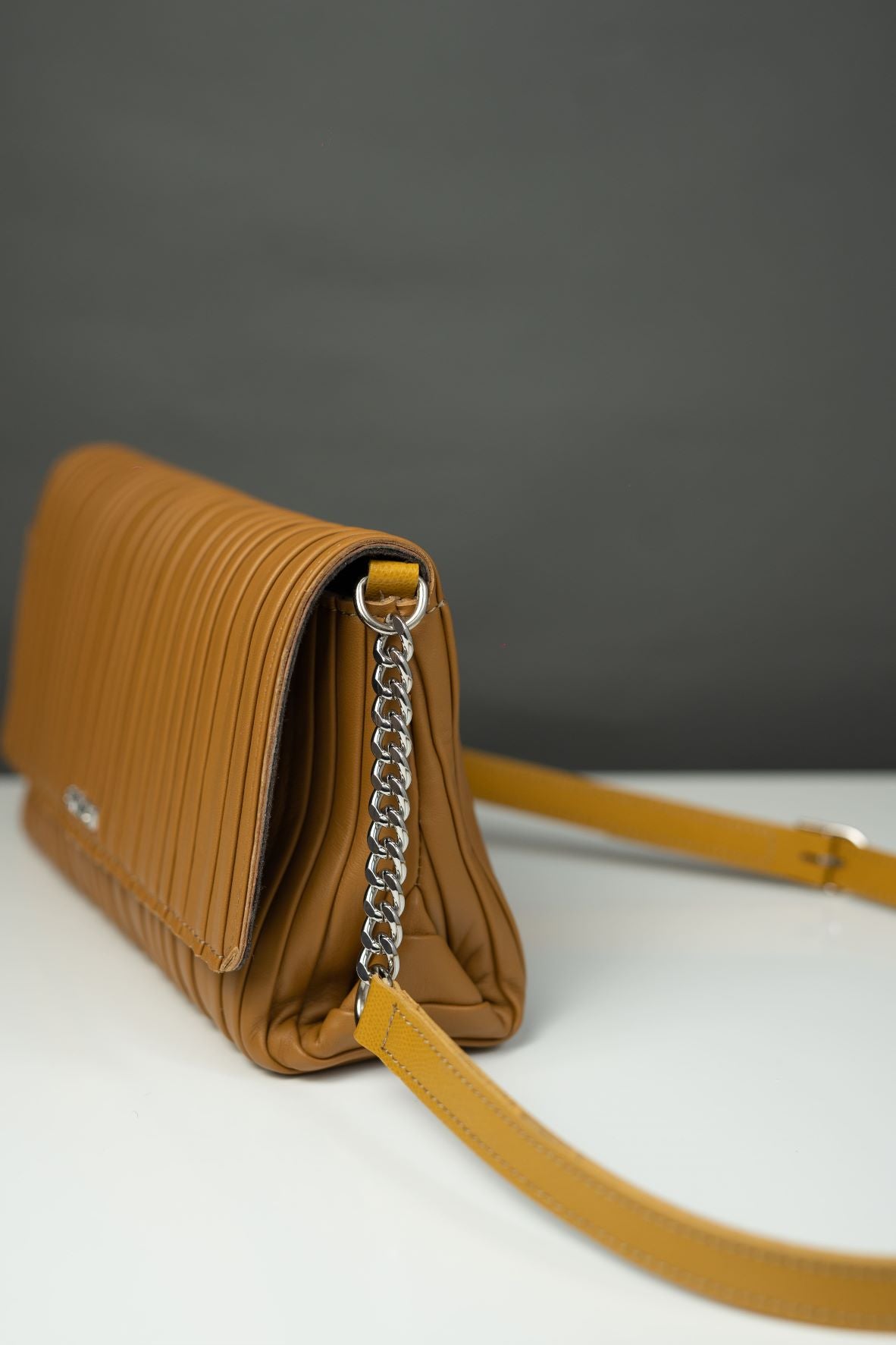 Small Elegant Camel